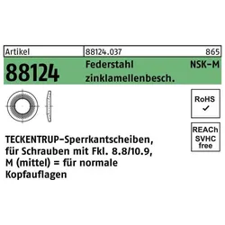Teckentrup, Muttern + Unterlegscheiben, Sperrkantscheibe R 88124 NSK-M 18 Federstahl zinklamellenbeschichtet