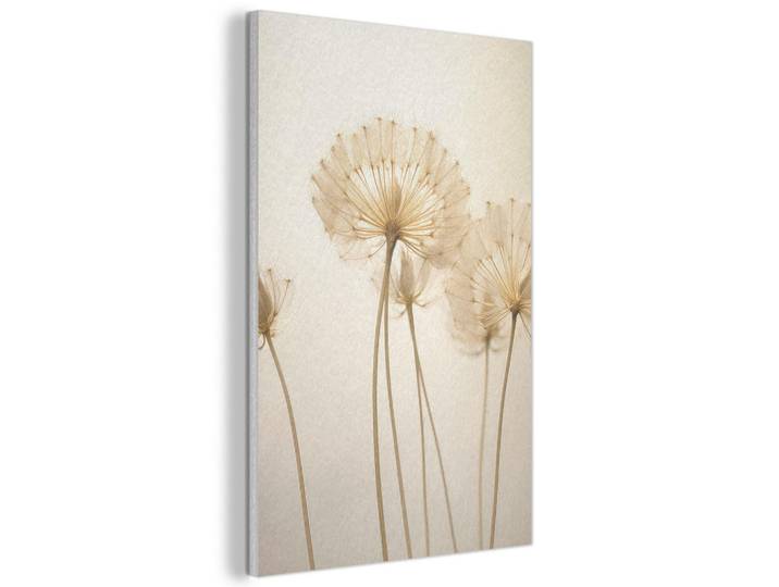 MuchoWow Akustikbild - Sonnenlicht - Löwenzahn - Botanisch - Blumen - 60x90, Creme, Kunststoff, Rechteckig, 60x90x0.9 cm, Wandverkleidung, Akustikpaneele