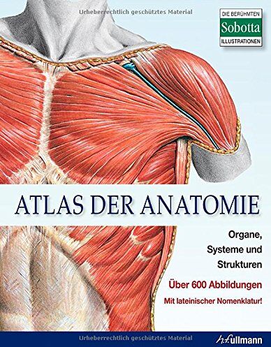 Atlas der Anatomie: Organe, Systeme und Strukturen. Mit lateinischer Nomenklatur. - Preis vom 30.09.2026 09:01:18 h
