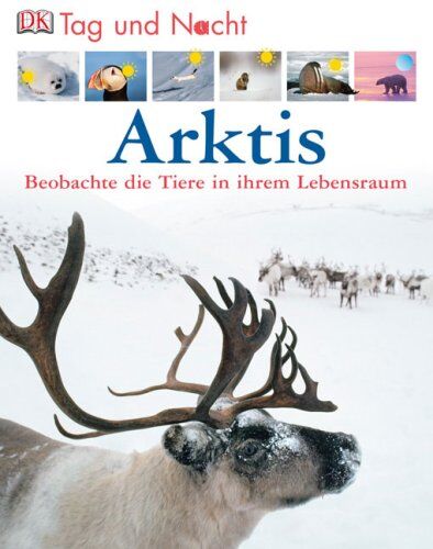 Tag und Nacht: Arktis: Beobachte die Tiere in ihrem Lebensraum - Preis vom 17.10.2026 19:25:27 h