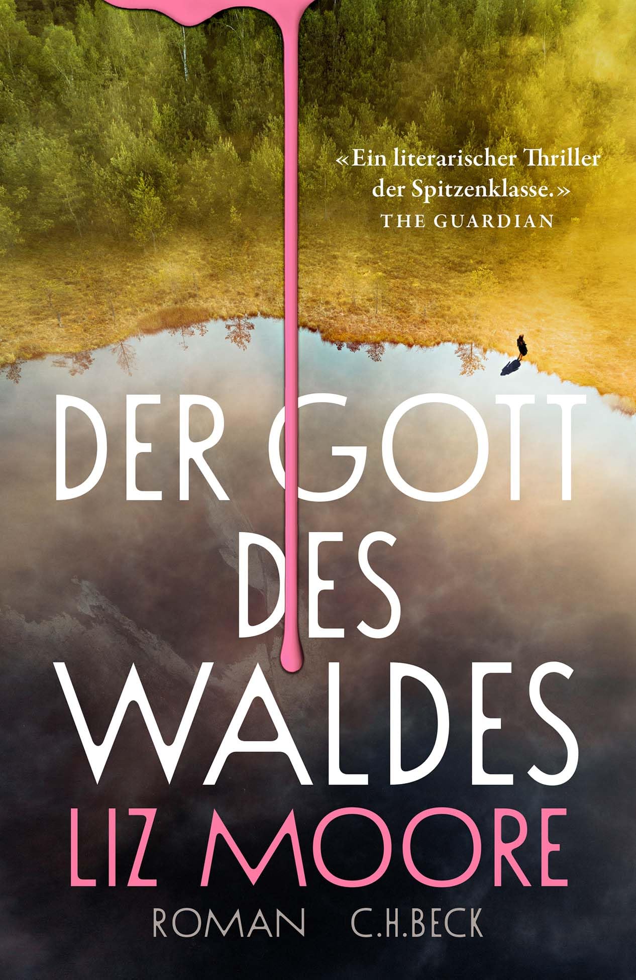 Liz Moore - Der Gott des Waldes: Roman - Preis vom 11.10.2026 15:43:13 h