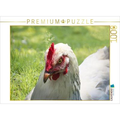 CALVENDO Puzzle Glückliche Freilandhühner | 1000 Teile Lege-Größe 64x48cm Foto-Puzzle für glückliche Stunden