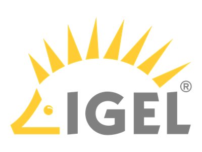 Lenovo Igel Rapid Deployment - Implementierung (4L41S06255)