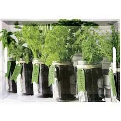 5x Kesper, Tablett, Serviertablett 'Herbs'