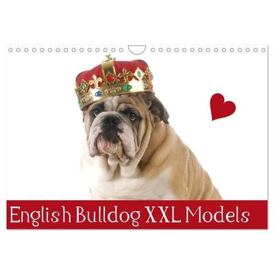 English Bulldog XXL Models (Wandkalender 2027 DIN A4 quer), CALVENDO Monatskalender