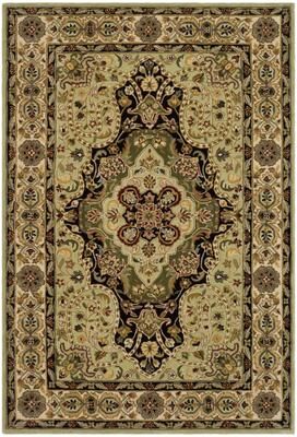 SAFAVIEH Handmade Total Performance Pordis Oriental Rug