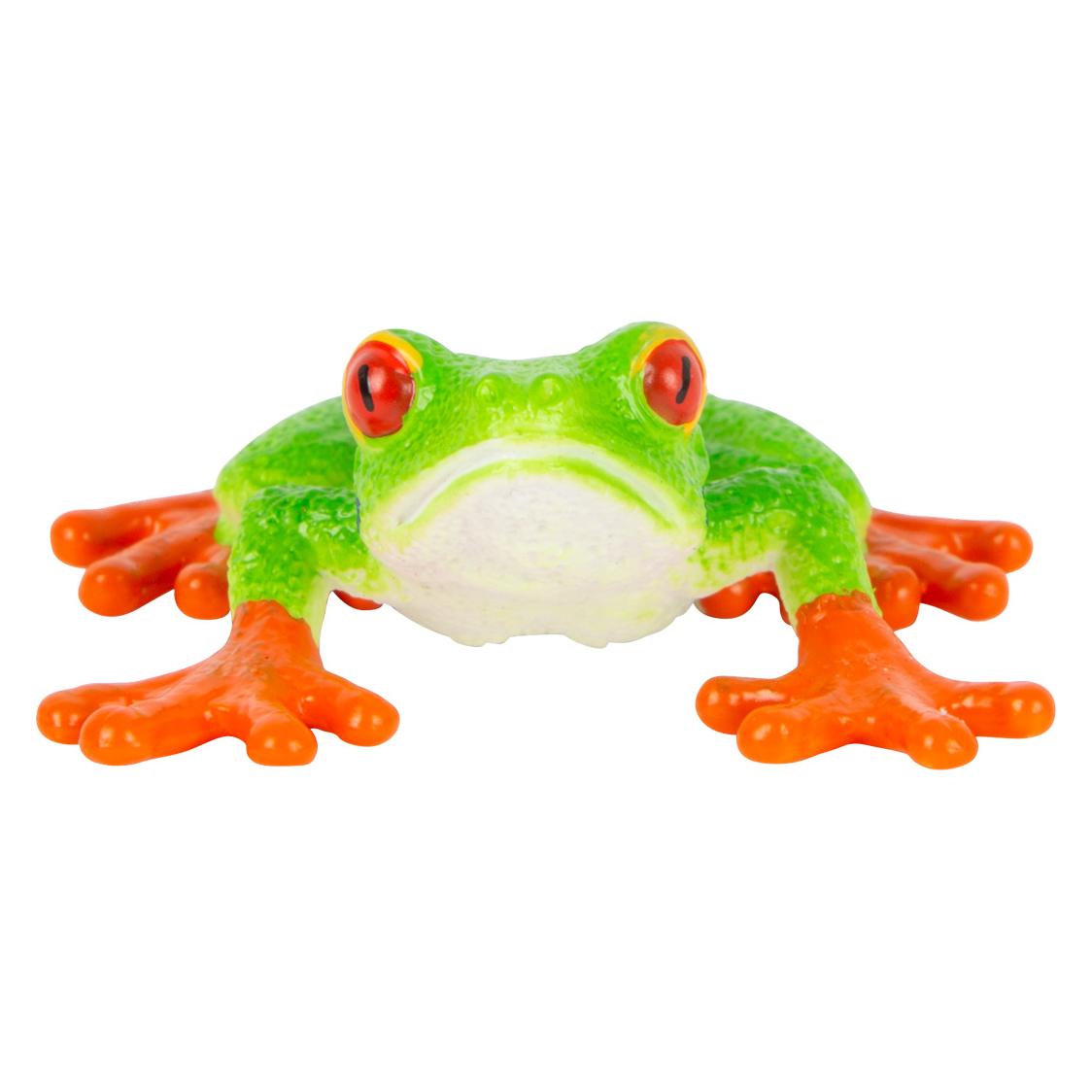small foot Rotaugenlaubfrosch (387299)