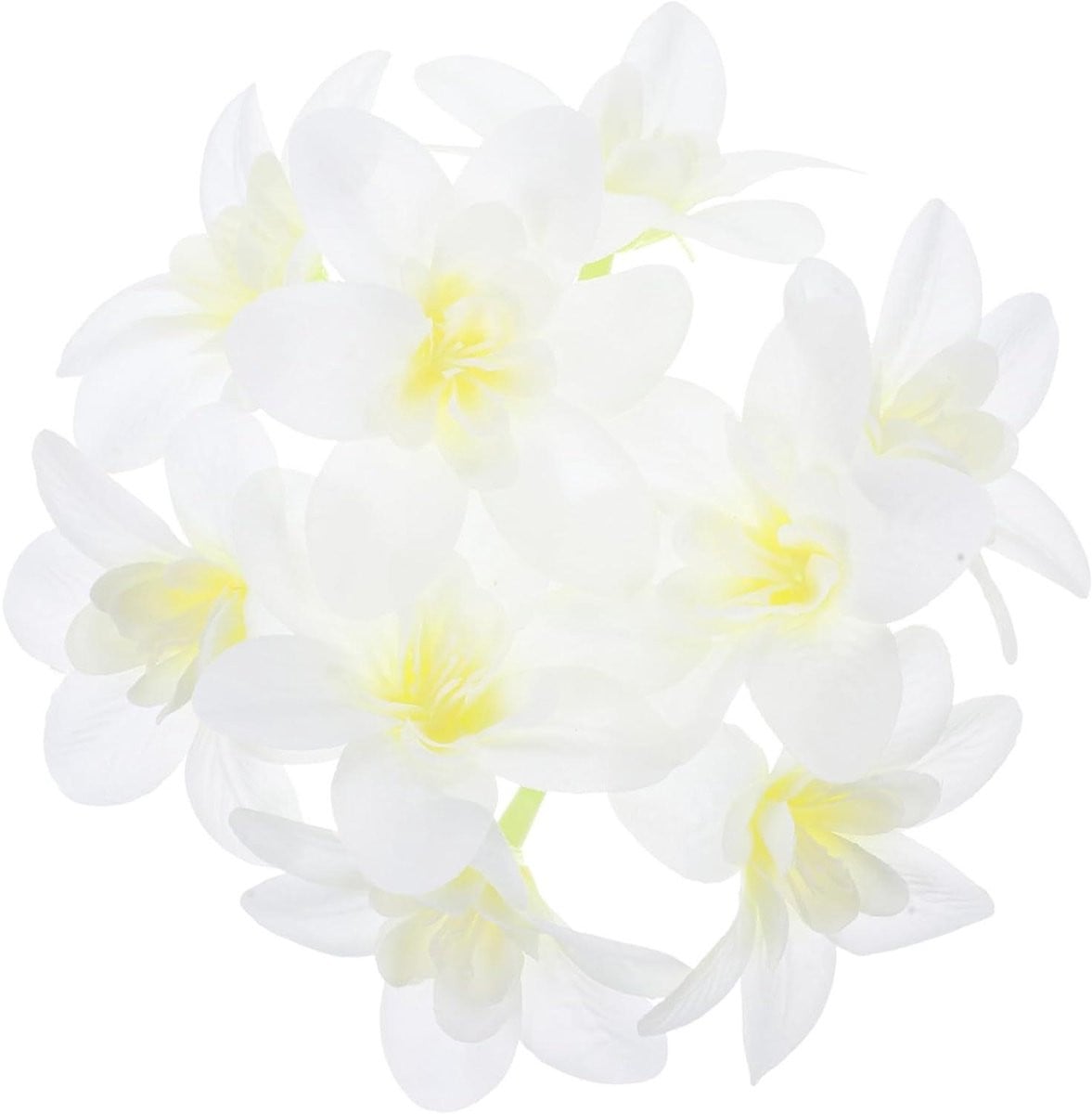 36 stuks Kunst Orchidee Bloemhoofdjes - Zijden Orchidee Decoratie - Melkwit