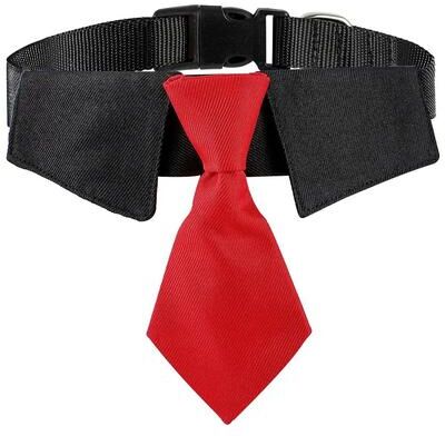 Uplift Treasures Formal Dog Wedding Suit Necktie Collar 6 m