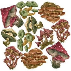 WANDAUFKLEBER 60x29cm - Pilzwiese