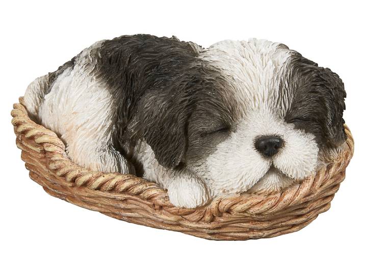 Vivid Shih-Tzu Welpe im Körbchen 8 × 12 × 17 cm