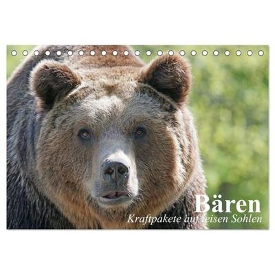 Bären. Kraftpakete auf leisen Sohlen (Tischkalender 2027 DIN A5 quer), CALVENDO Monatskalender
