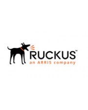 Ruckus 1 Lizenzen 5 Jahre Erneuerung End User Support VSZD L3 Roaming 5 Yr (S01-VSZD-5LL3)