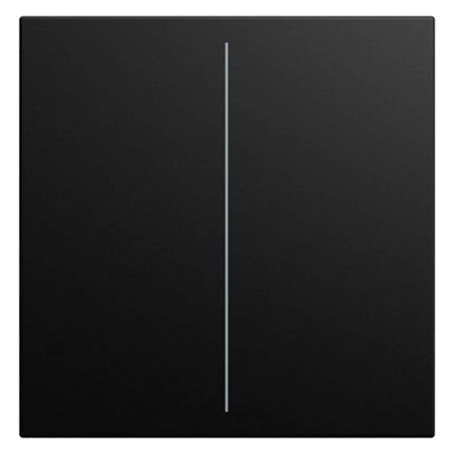 Busch-Jaeger Abdeckung (2CKA006199A0540)