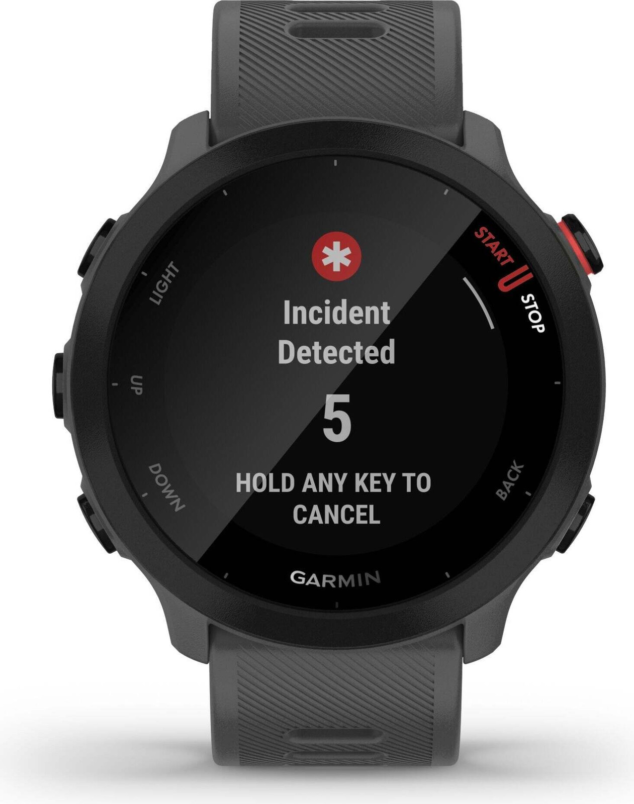 Garmin Forerunner 55 Monterra Grey