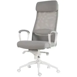 Chefsessel  Blies neu , grau , Maße (cm): B: 68,5 H: 124,5 T: 68.5