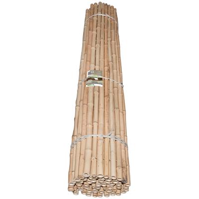 Sichtschutzzaunmatten WINDHAGER "Ontake für Garten, Balkon und Terrasse, 180 x 180 cm", beige (natur), H:180cm, Bambus, Zaunelemente, Sichtschutzzaun aus Bambus, Blickschutz, natur / beige