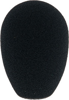 AKG W 32