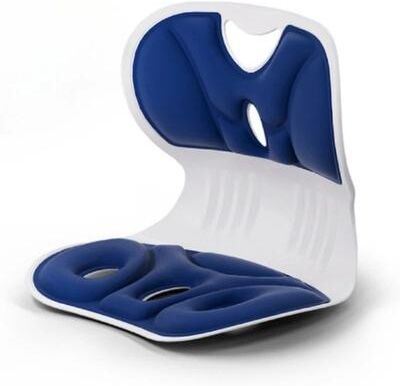 Inspired Living ErgoComfort Lumbar Support Pillow For All Day Back Relief blue