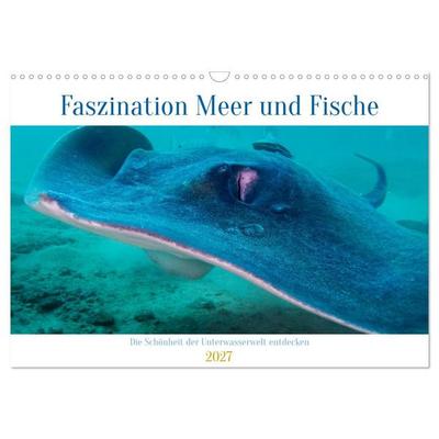 Faszination Meer und Fische (Wandkalender 2027 DIN A3 quer), CALVENDO Monatskalender