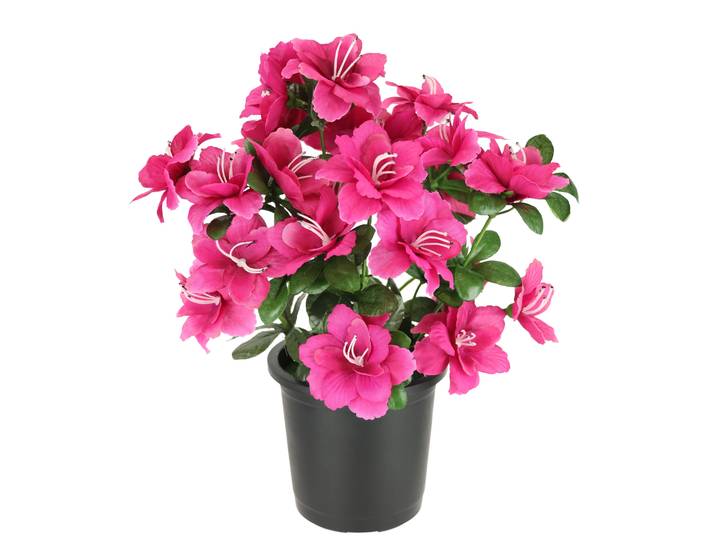 Kunstblume I.GE.A. Kunstblume Azaleen im Topf , rot (azalee), B:21cm H:29cm L:21cm, Polyester, Kunstpflanzen, Kunstblume, Blume Kunstpflanze Blumendeko Tischdeko Zimmerpflanze