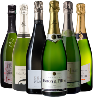 Vinatis Weinpaket - Winzerchampagner - 6 Fl. - 4.5L Champagne