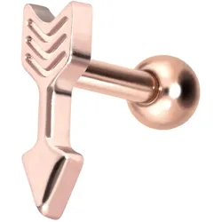 Titan Ohrpiercing mit Innengewinde PFEIL