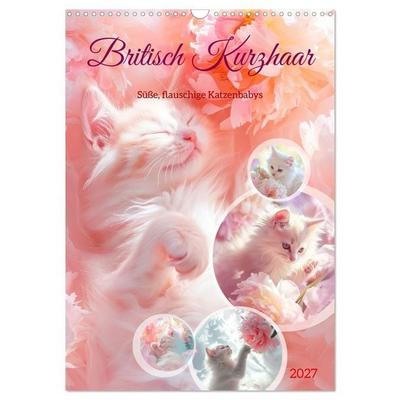 Britisch Kurzhaar (Wandkalender 2027 DIN A3 hoch), CALVENDO Monatskalender