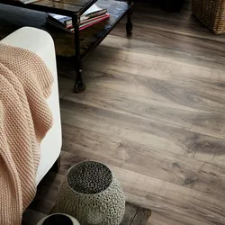 Laminat Perganti Nussbaum grau – inkl. Dämmung & Fußleisten