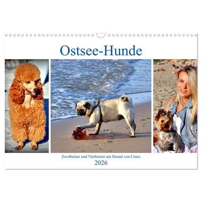 Ostsee-Hunde - Zweibeiner und Vierbeiner am Strand von Cranz (Wandkalender 2026 DIN A3 quer), CALVENDO Monatskalender
