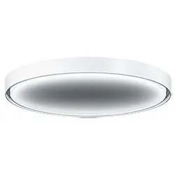 Zumtobel Group LED-Wand-u.Deckenleuchte LANOSM2500 #42188222
