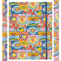 Clairefontaine 4x Dolce Amore, Sammelmappe mit Gummizugverschluss 24x32cm - 116275C