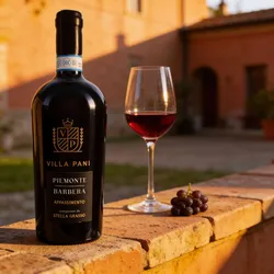 Villa Pani Barbera Appassimento 2023 - Rotwein trocken - Piemont, Italien