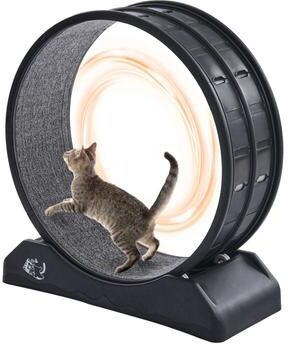 Multicon Wholesale Hub Large Cat Exercise Wheel Indoor Running Treadmill For Active Cats Large Cat Exercise Wheel Indoor Running Treadmill For Active Cats
