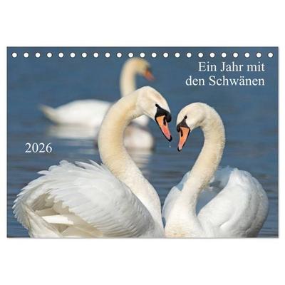 Ein Jahr mit den Schwänen (Tischkalender 2026 DIN A5 quer), CALVENDO Monatskalender