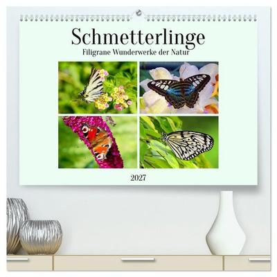 Schmetterlinge - Filigrane Wunderwerke der Natur (hochwertiger Premium Wandkalender 2027 DIN A2 quer), Kunstdruck in Hochglanz