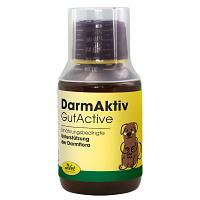 DARMAKTIV vet. 100 ml