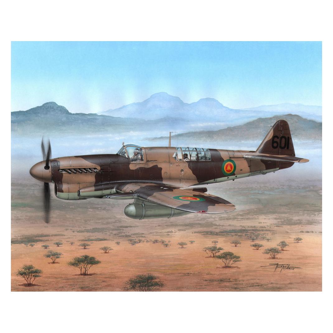 Special Hobby Fairey Firefly FR Mk.I Foregin Post War (100-SH48151)