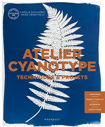 Camille Soulayrol - Atelier cyanotype : techniques & projets : origines, mode d'emploi, herbiers, créations - Preis vom 13.10.2026 19:28:25 h
