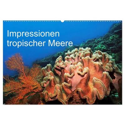 Impressionen tropischer Meere (Wandkalender 2027 DIN A2 quer), CALVENDO Monatskalender