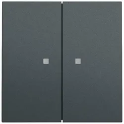 Gira Wippe 2f Kontrollf. System 363173