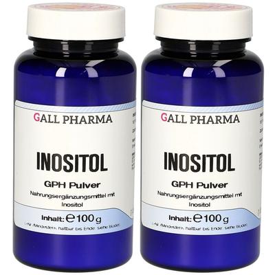Inositol GPH Pulver 2x 2x100 g
