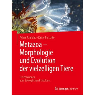 Metazoa - Morphologie und Evolution der vielzelligen Tiere, Taschenbuch von Achim Paululat,Günter Purschke, Springer Berlin, 978-3-662-66183-3