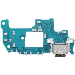 Samsung Galaxy A55 5G Ladebuchse
