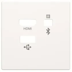 Busch-Jaeger Zentralscheibe Media Connector 8256-884