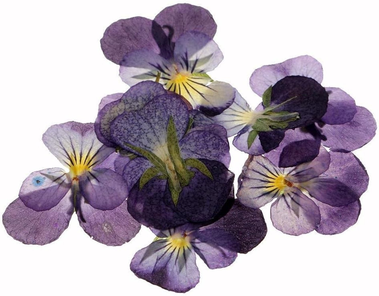 12 stuks echte gedroogde bloemen voor DIY decoratie, scrapbooking en sieraden maken