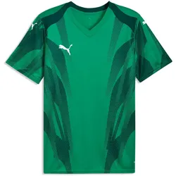 PUMA teamFINAL 26 Graphic+ Trikot Herren 05 - sport green/puma white/dark myrtle XL