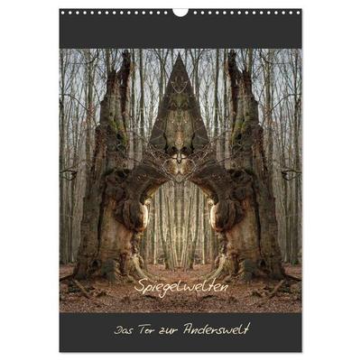 Spiegelwelten - Das Tor zur Anderswelt (Wandkalender 2026 DIN A3 hoch), CALVENDO Monatskalender