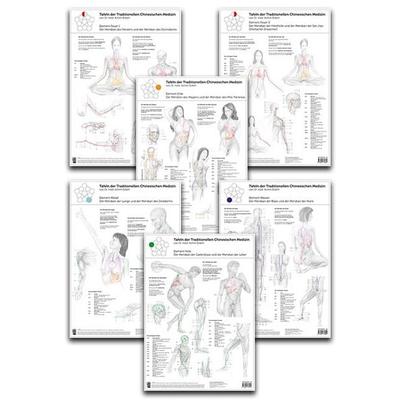 Set von 6 Tafeln der Traditionellen Chinesischen Medizin, Sonstige von Achim Eckert, Bacopa, 978-3-902735-71-3
