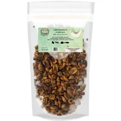 Futrzaki & Co. – Seidenraupenlarven – 50g